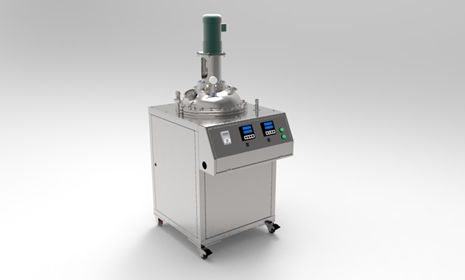 重慶100L溶料反應釜